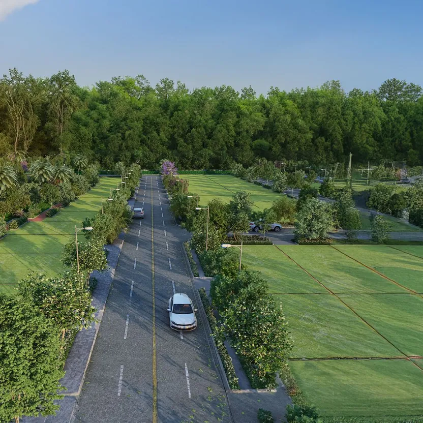Purva Oakshire at Rampura: a tree-lined road between the plots